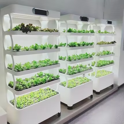 Greenhouse Mini Indoor - Mini Sistema Idroponico per Coltivazione Indoor,