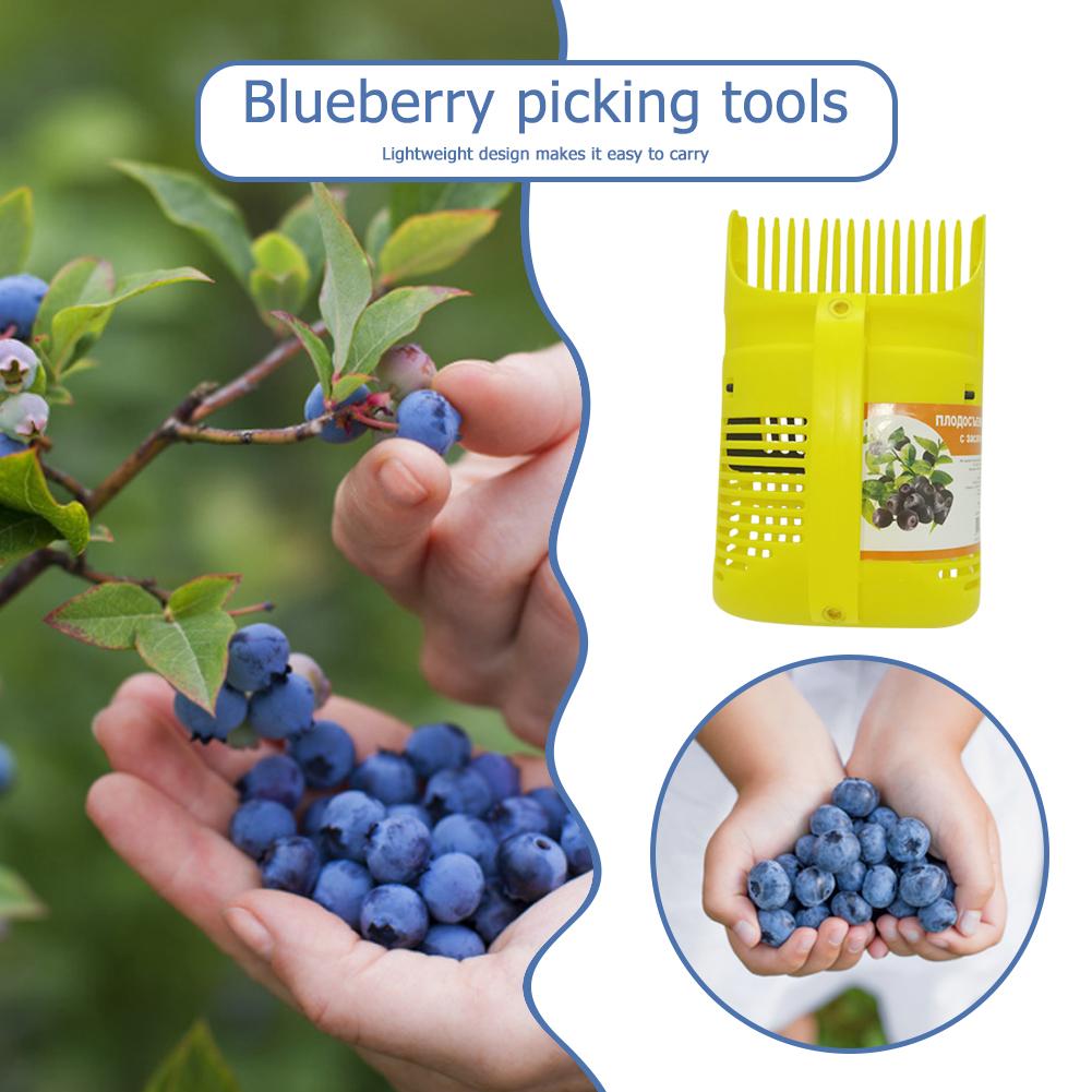 Gardening Tools Rake - Raccoglitore di Frutta con Manico, Pettine