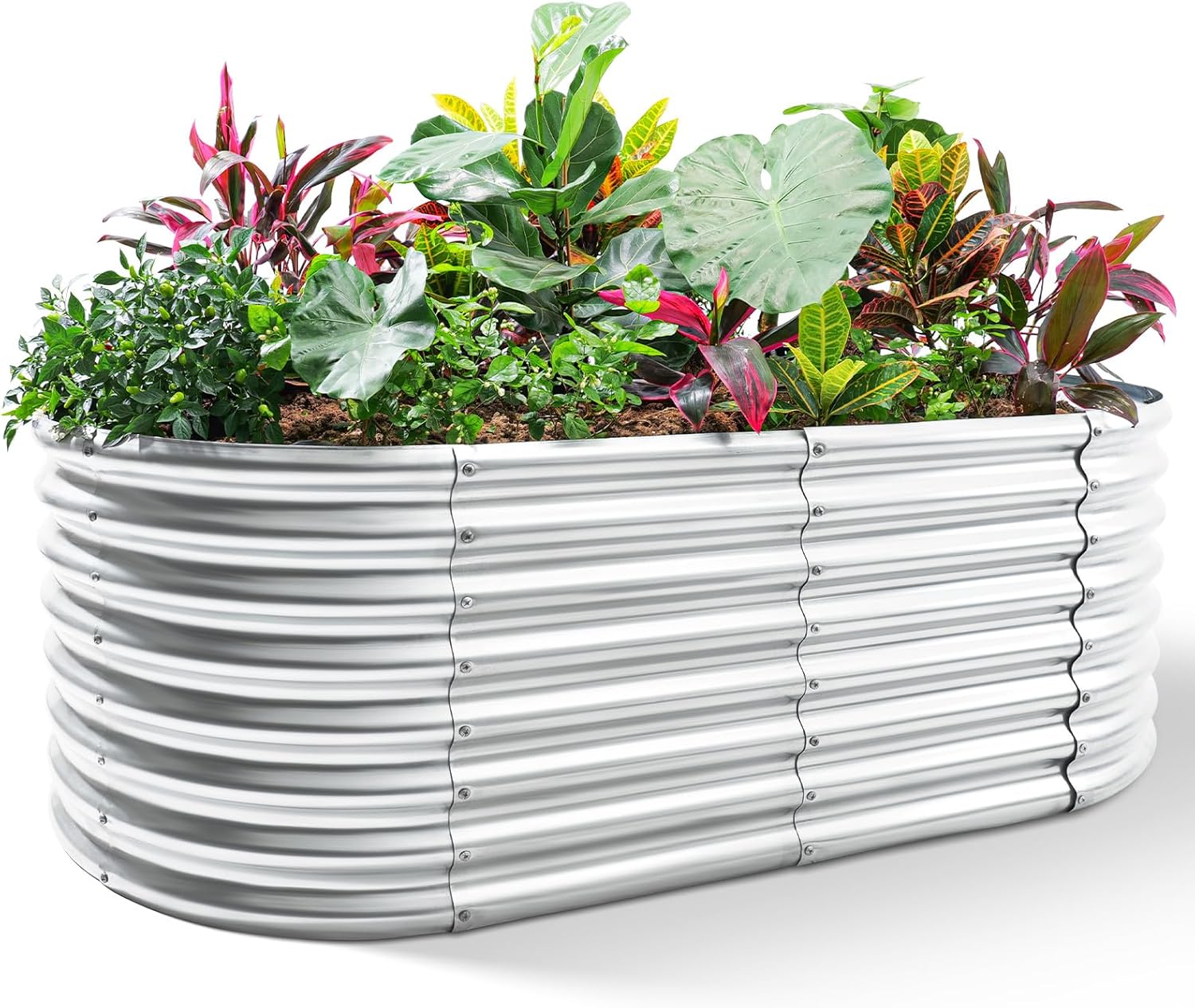 Raised Bed Planter Box - Fioriera Rialzata Zincata, 8x4x2ft, Contenitori Ovali