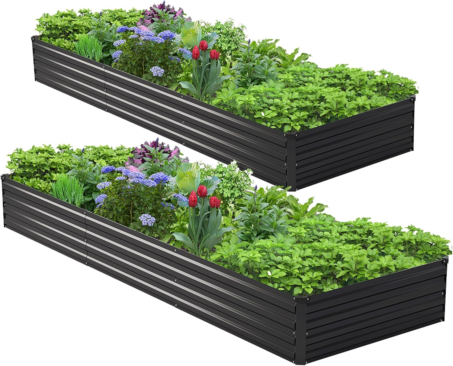 Raised Bed Planter Box - 2 Pezzi Kit Letto da Giardino