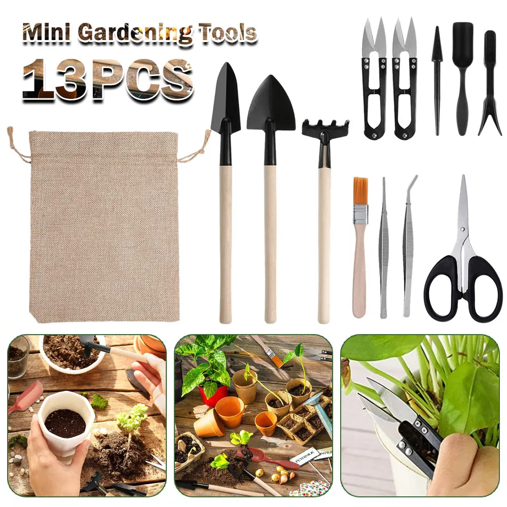 Gardening Tools Kit For Home Garden - Set di attrezzi per piante succulente