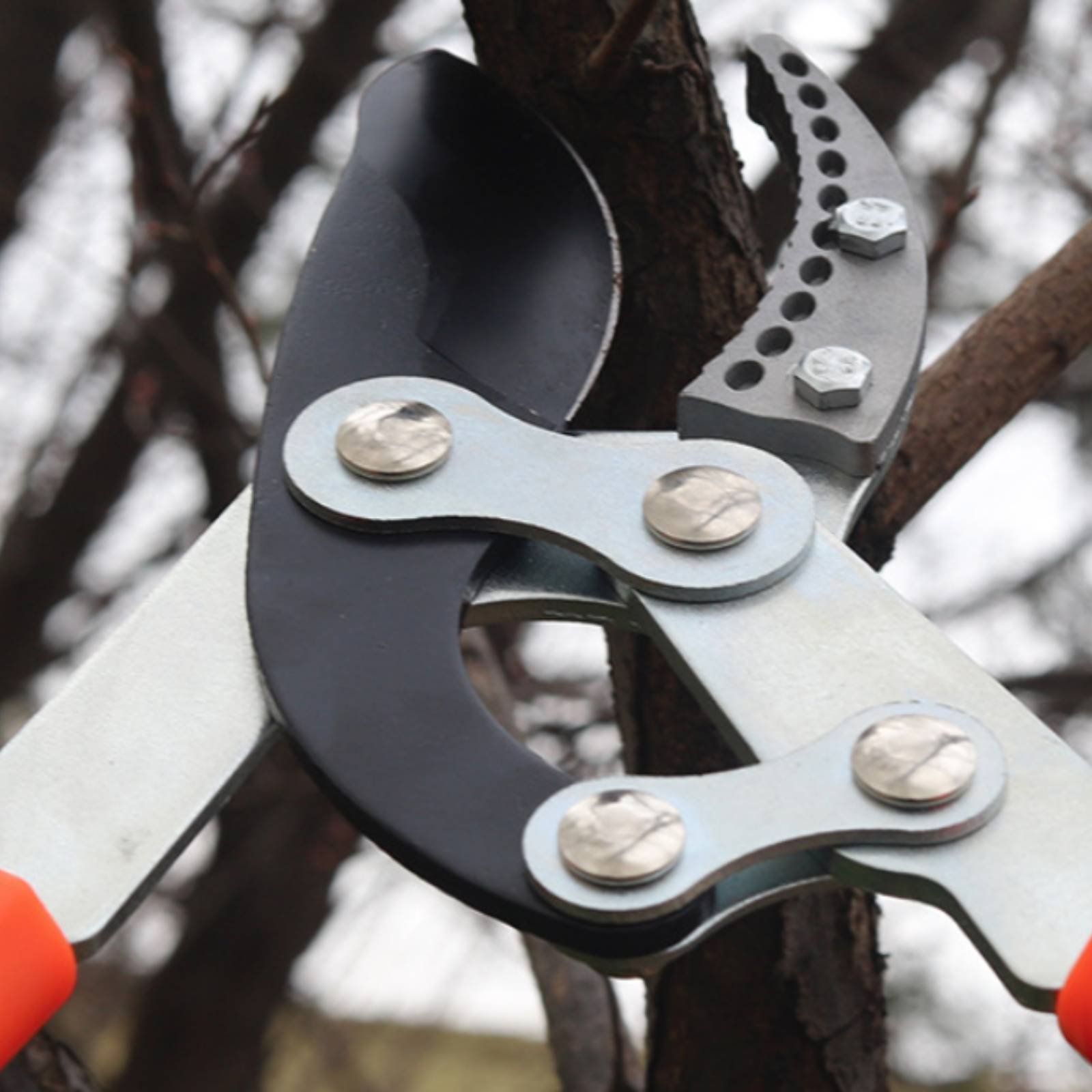Gardening Tools - Forbici Telescopiche per Potatura con Lama