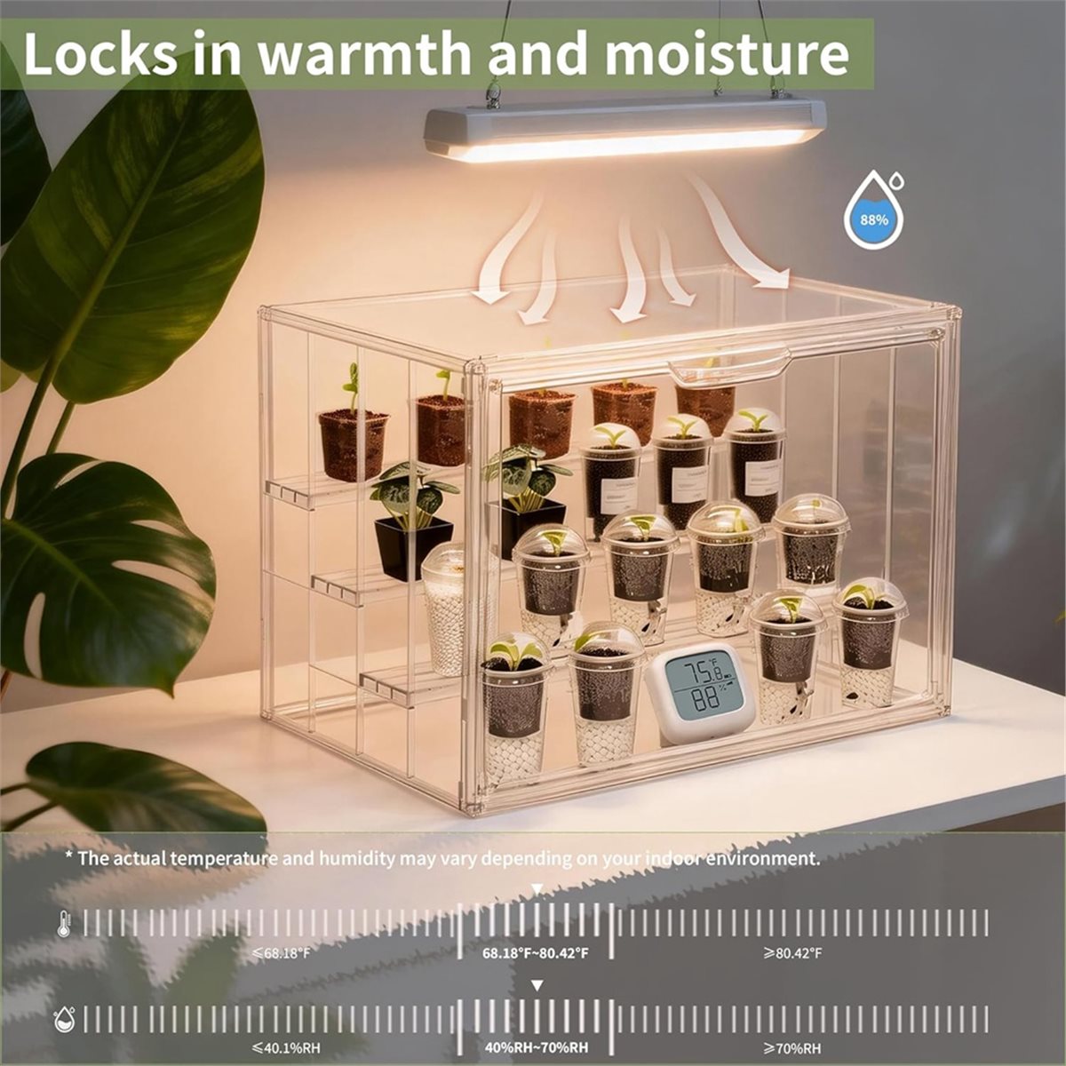 Greenhouse Mini Indoor - Mini serra industriale trasparente da interno,