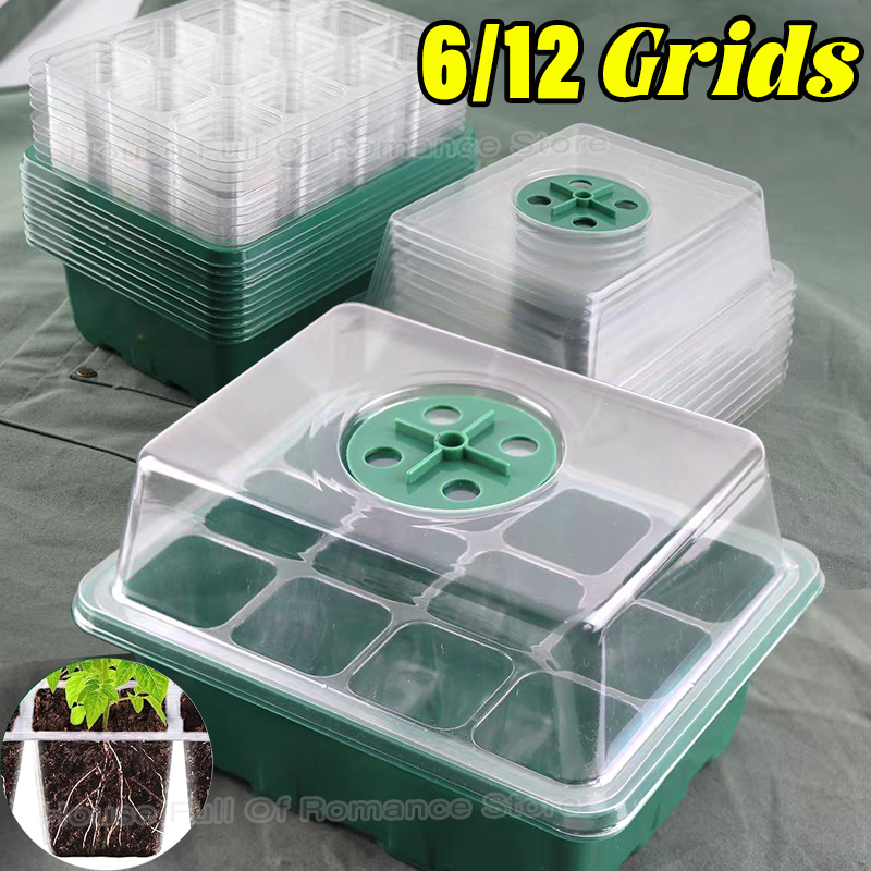 Greenhouse Mini Indoor - Kit di Avviamento per Semina con