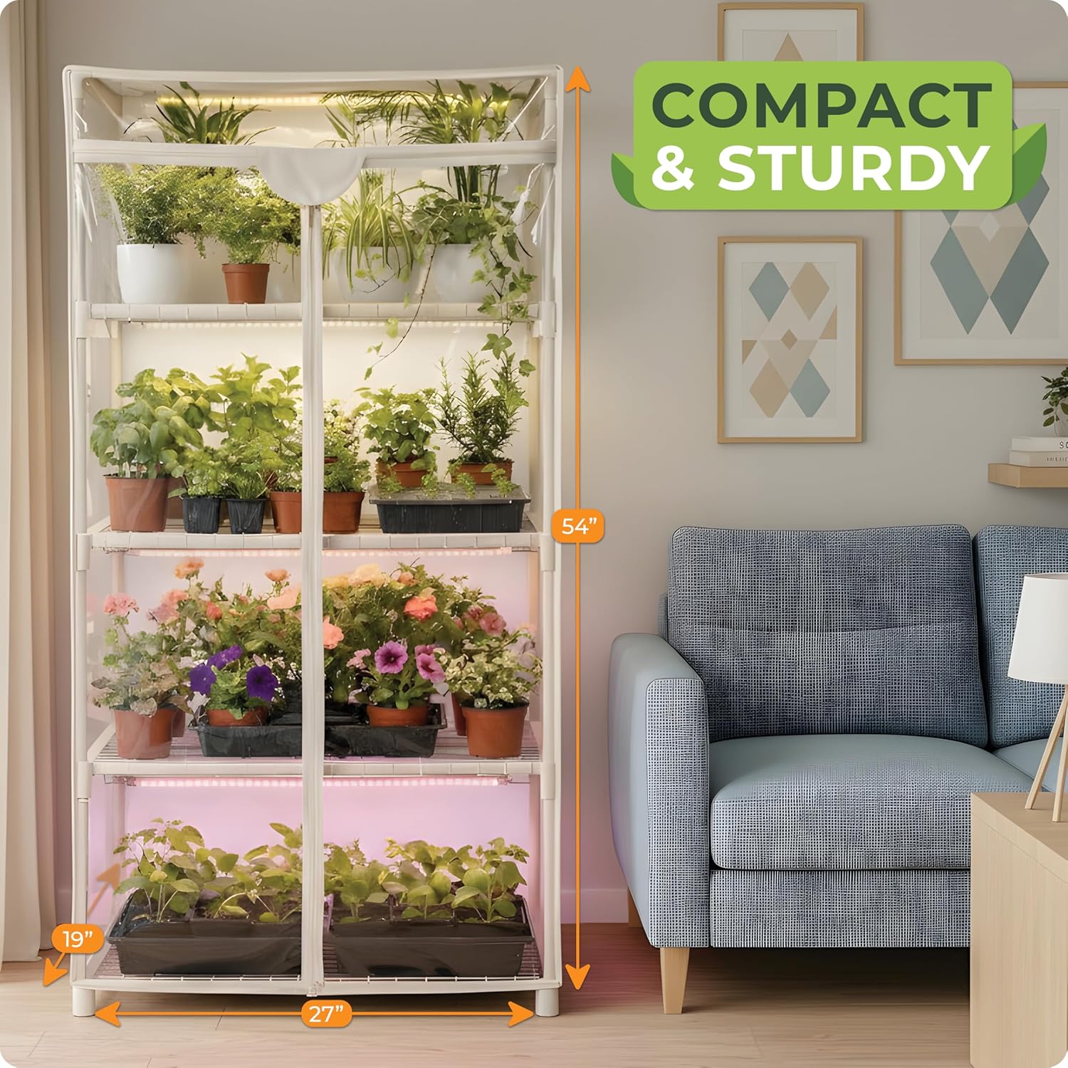 Mini serra per piante da inter - Greenhouse Mini Indoor recensione e prezzo