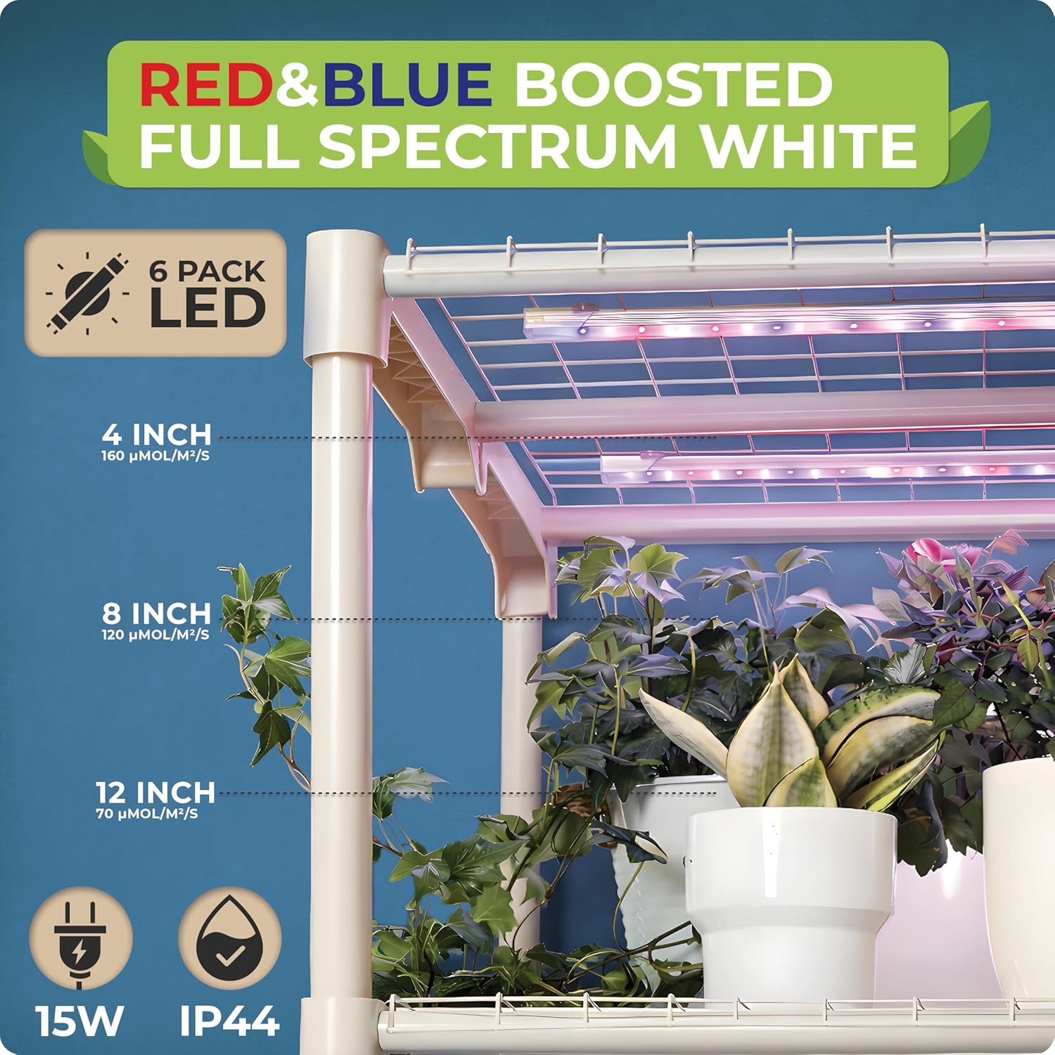 Mini serra per piante da inter - Greenhouse Mini Indoor recensione e prezzo
