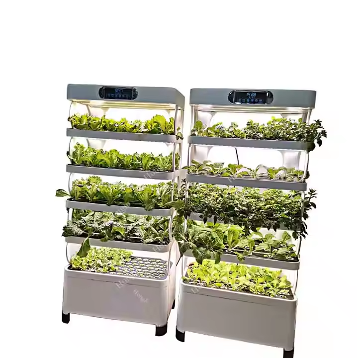 Mini Sistema Idroponico per Co - Greenhouse Mini Indoor recensione e prezzo
