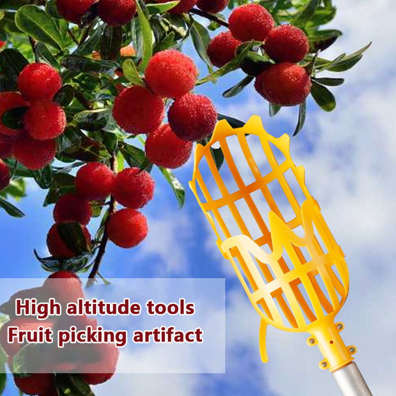 Picking Loquat Picking Bayberr - Gardening Tools Rack recensione e prezzo