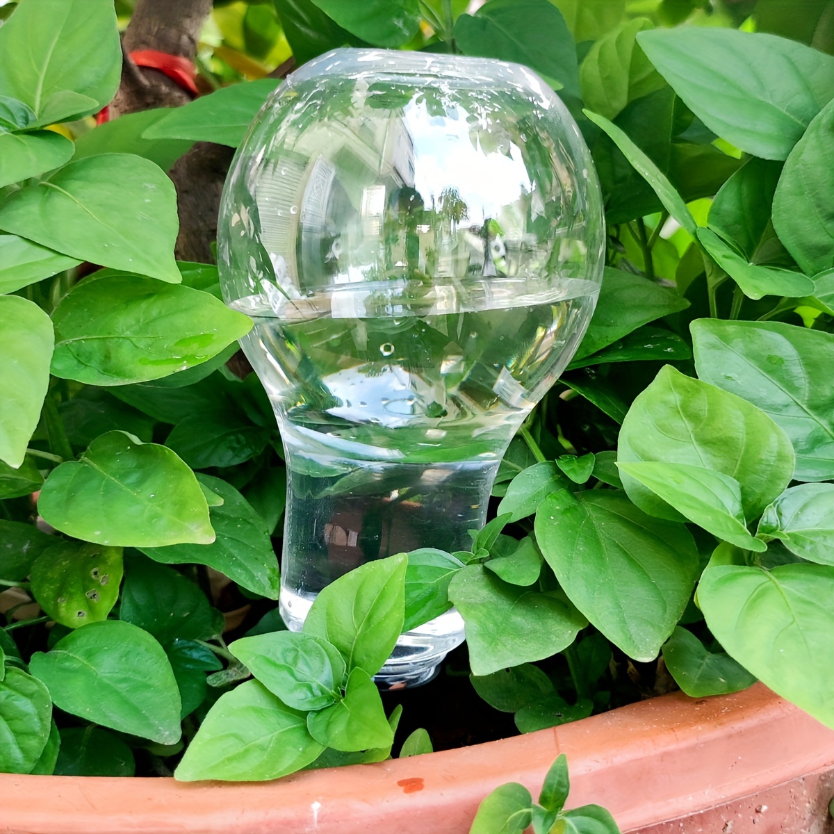 Strumento di irrigazione autom - Gardening Tool Diy recensione e prezzo