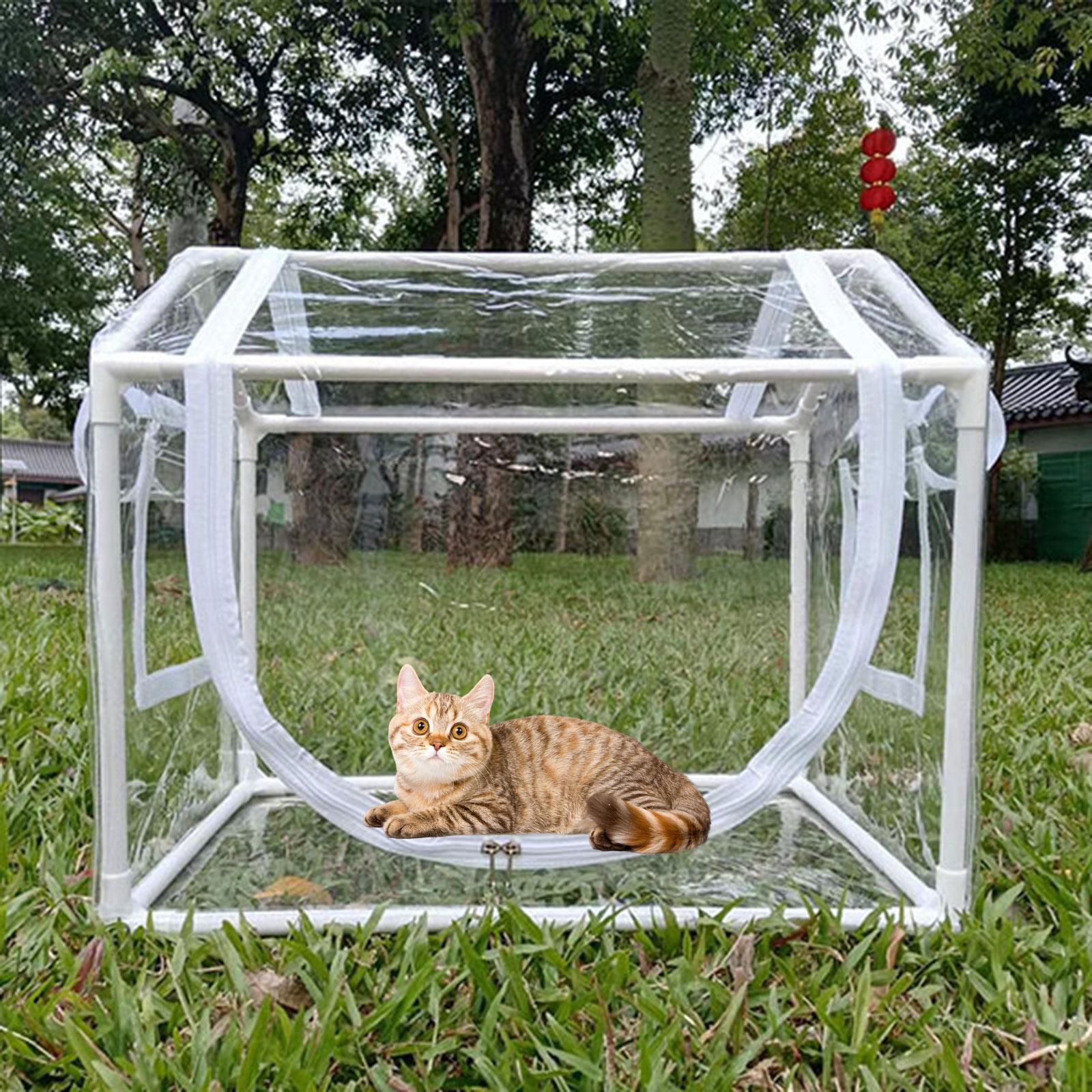 Mini serra in PVC resistente a - Greenhouse Mini Indoor recensione e prezzo