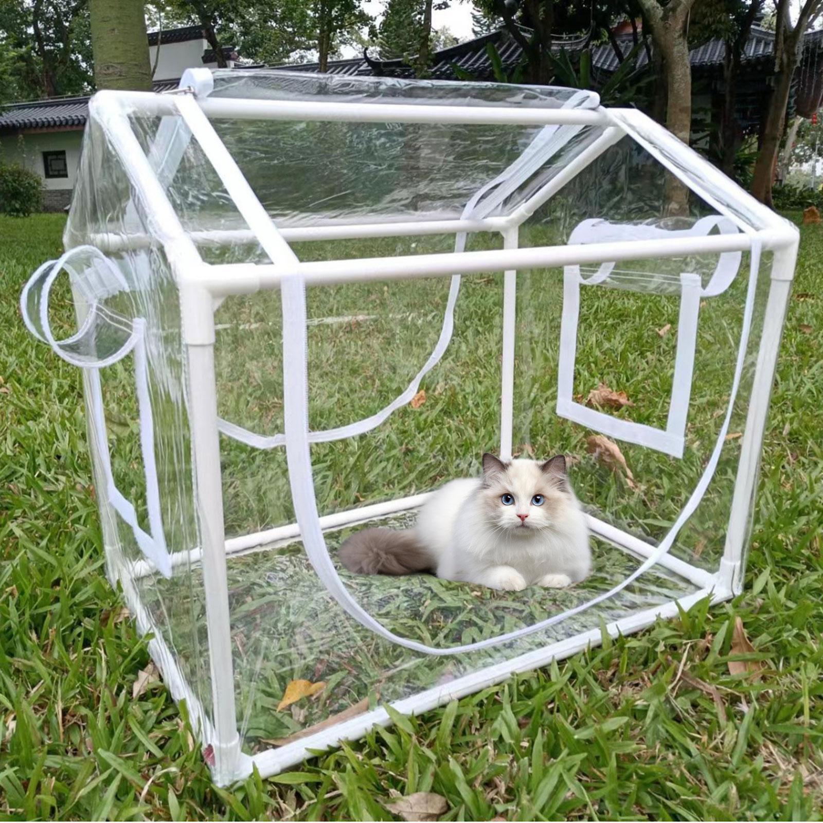 Mini serra in PVC resistente a - Greenhouse Mini Indoor recensione e prezzo