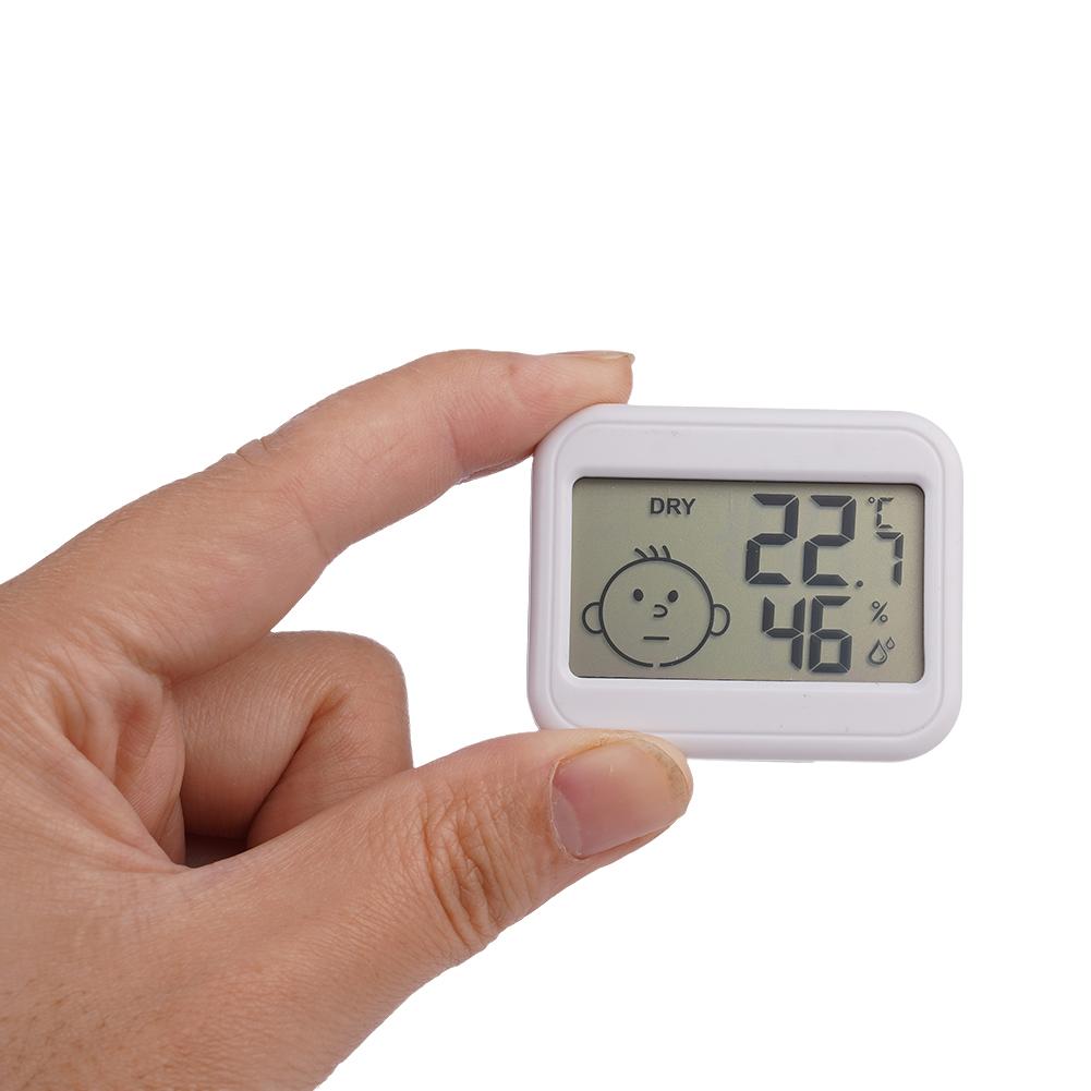 Mini Termometro Digitale e Igr - Greenhouse Mini Indoor recensione e prezzo