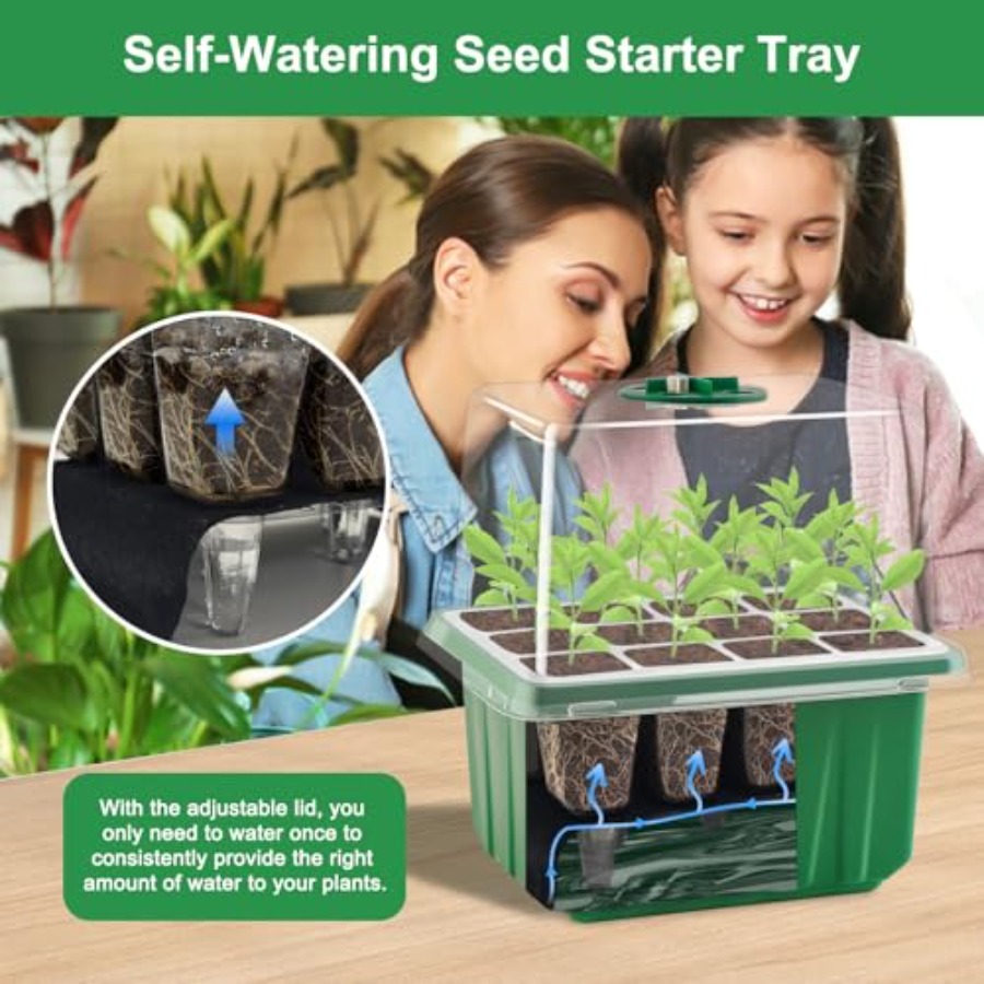 Kit di Avviamento per Semi con - Greenhouse Mini Indoor recensione e prezzo