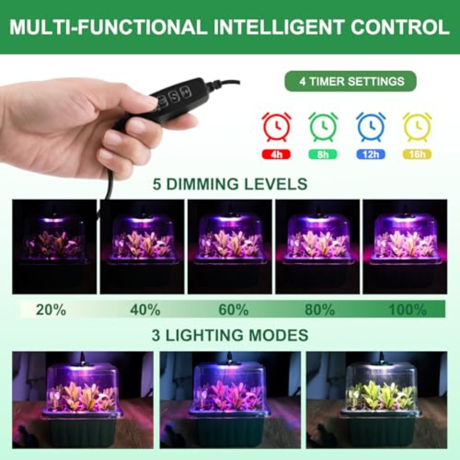 Kit di Avviamento per Semi con - Greenhouse Mini Indoor recensione e prezzo