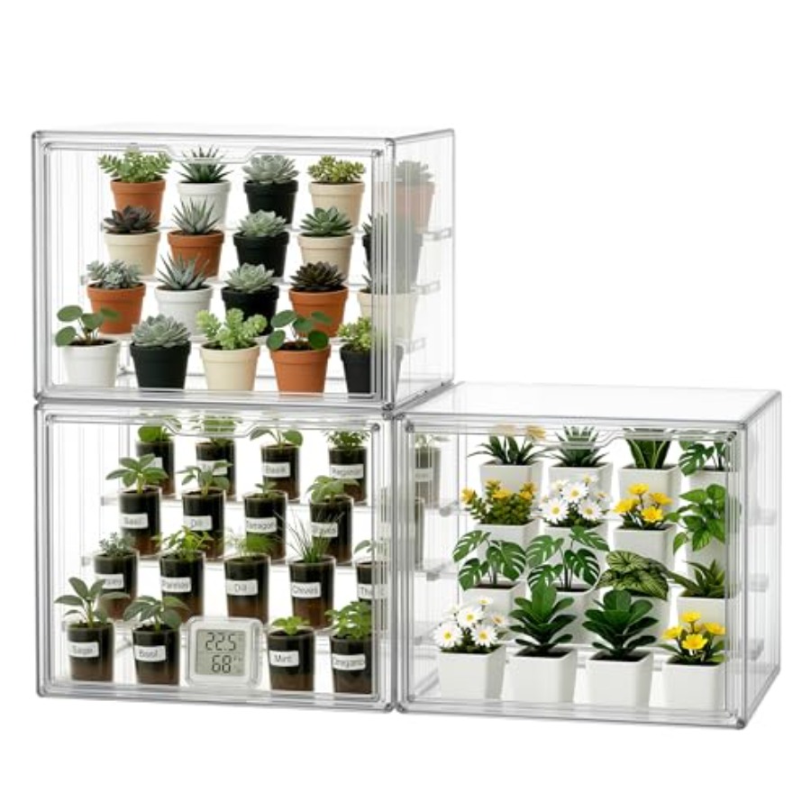 Mini serra da tavolo per piant - Greenhouse Mini Indoor recensione e prezzo