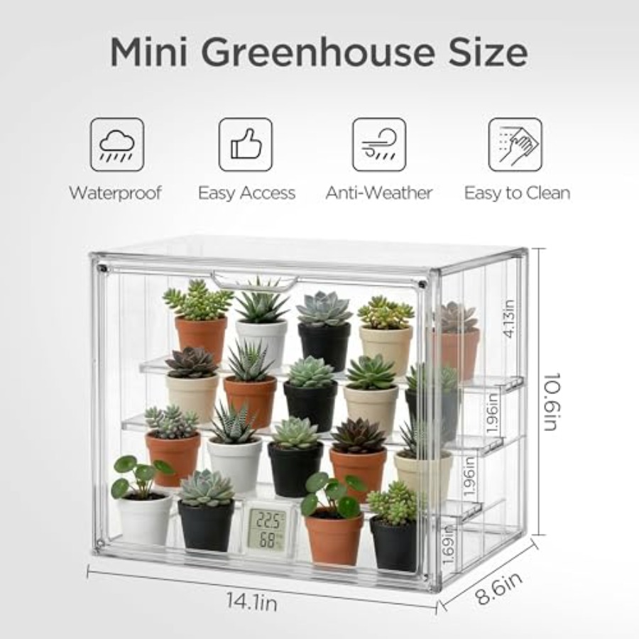 Mini serra da tavolo per piant - Greenhouse Mini Indoor recensione e prezzo