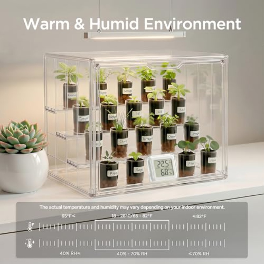Mini serra da tavolo per piant - Greenhouse Mini Indoor recensione e prezzo