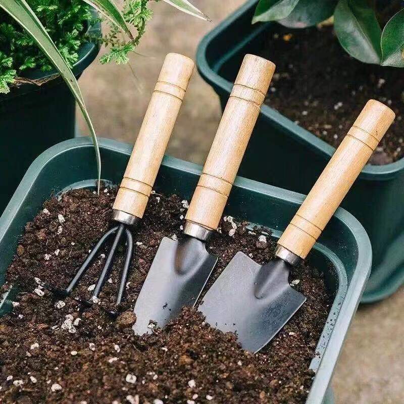 Set di 3 mini attrezzi da giar - Gardening Tools Rake recensione e prezzo