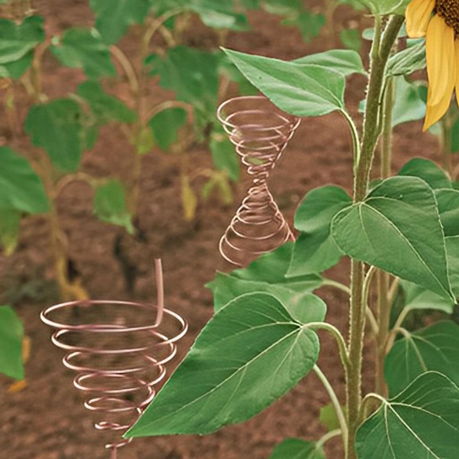 Supporto per Avvolgimento Bobi - Gardening Tool Diy recensione e prezzo