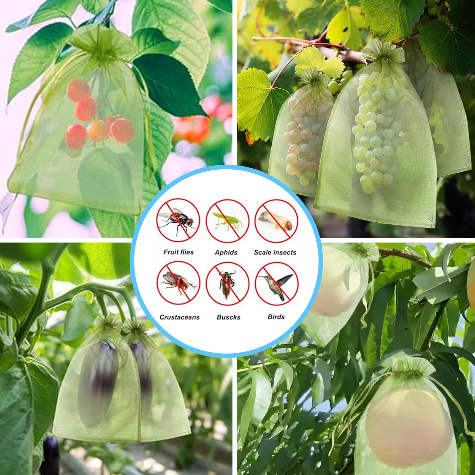 Rete Anti-Uccelli Efficace, Sa - Garden Netting Cover recensione e prezzo