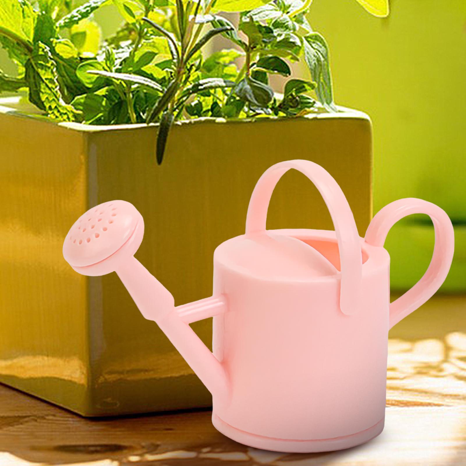 Piccolo annaffiatoio per bambi - Gardening Tool Diy recensione e prezzo