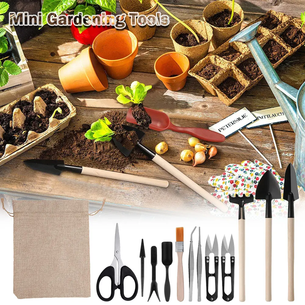 Set di attrezzi per piante suc - Gardening Tools Kit For Home Garden recensione e prezzo