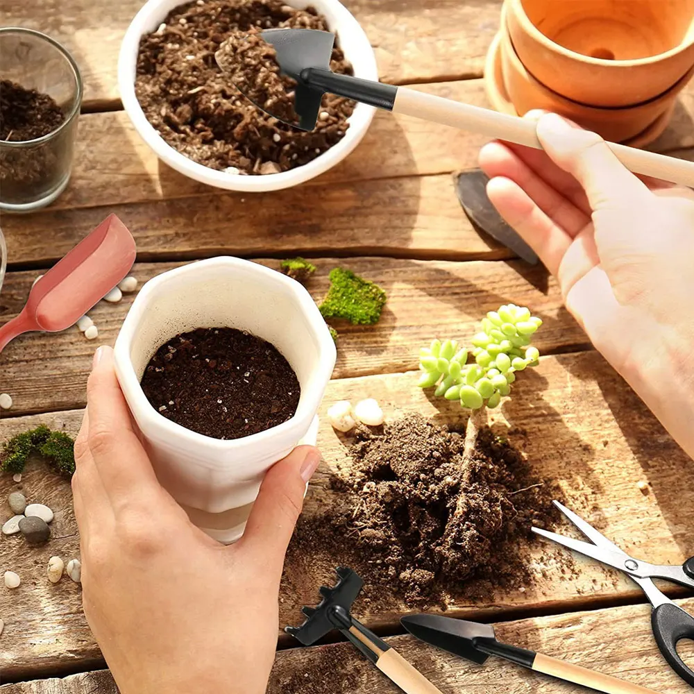 Set di attrezzi per piante suc - Gardening Tools Kit For Home Garden recensione e prezzo