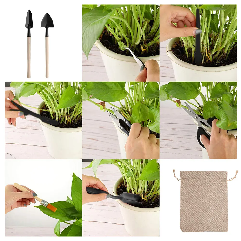Set di attrezzi per piante suc - Gardening Tools Kit For Home Garden recensione e prezzo