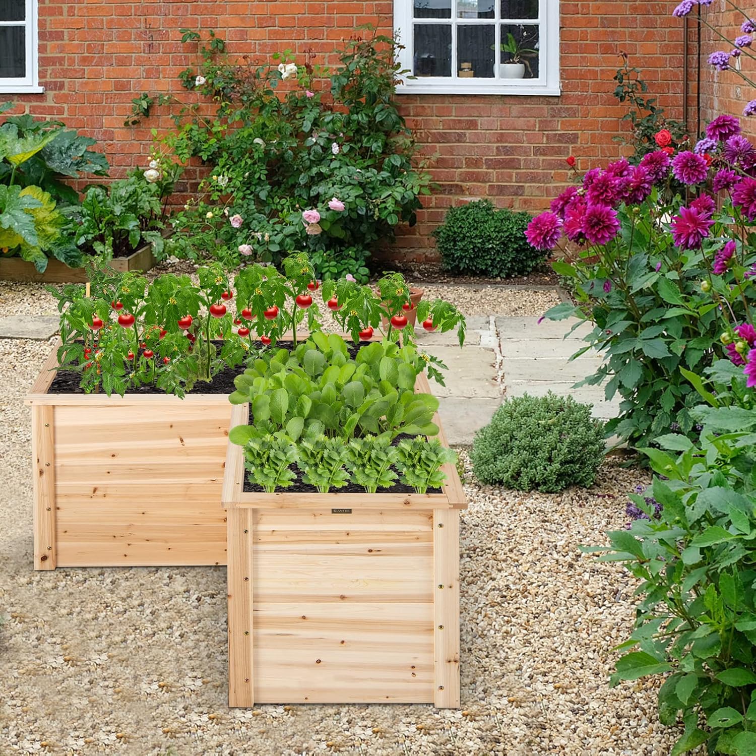 Fioriera Rialzata in Legno, 12 - Raised Bed Planter Box recensione e prezzo