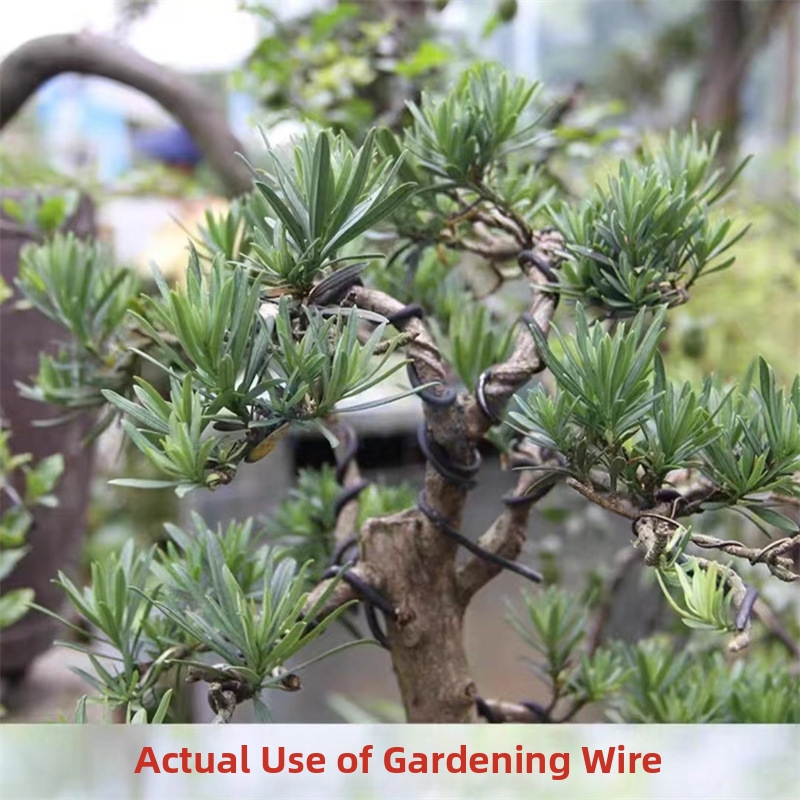 Fili per Bonsai da 1,5 mm in A - Gardening Tool Diy recensione e prezzo