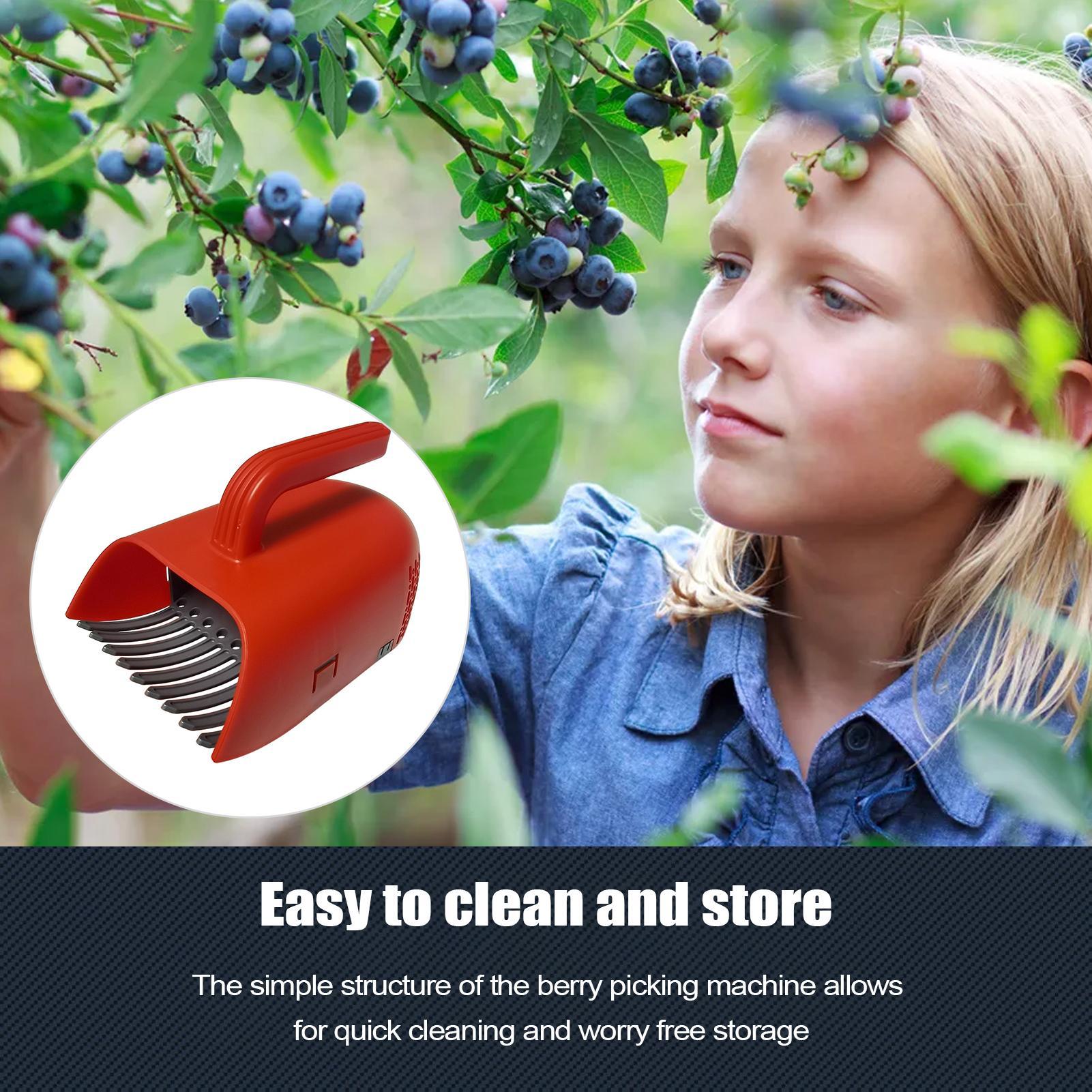 Raccoglitore di Bacche con Man - Gardening Tools Rake recensione e prezzo