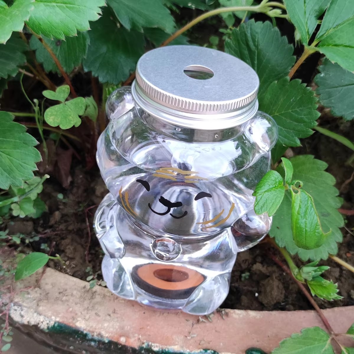 Dispositivo di irrigazione aut - Gardening Tool Diy recensione e prezzo