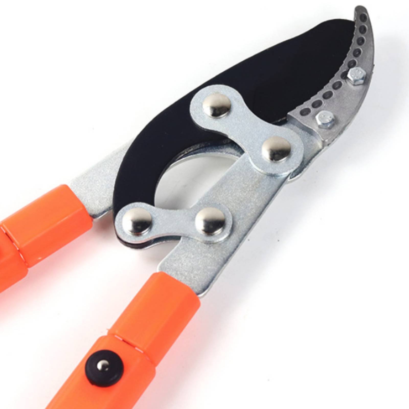 Forbici Telescopiche per Potat - Gardening Tools recensione e prezzo