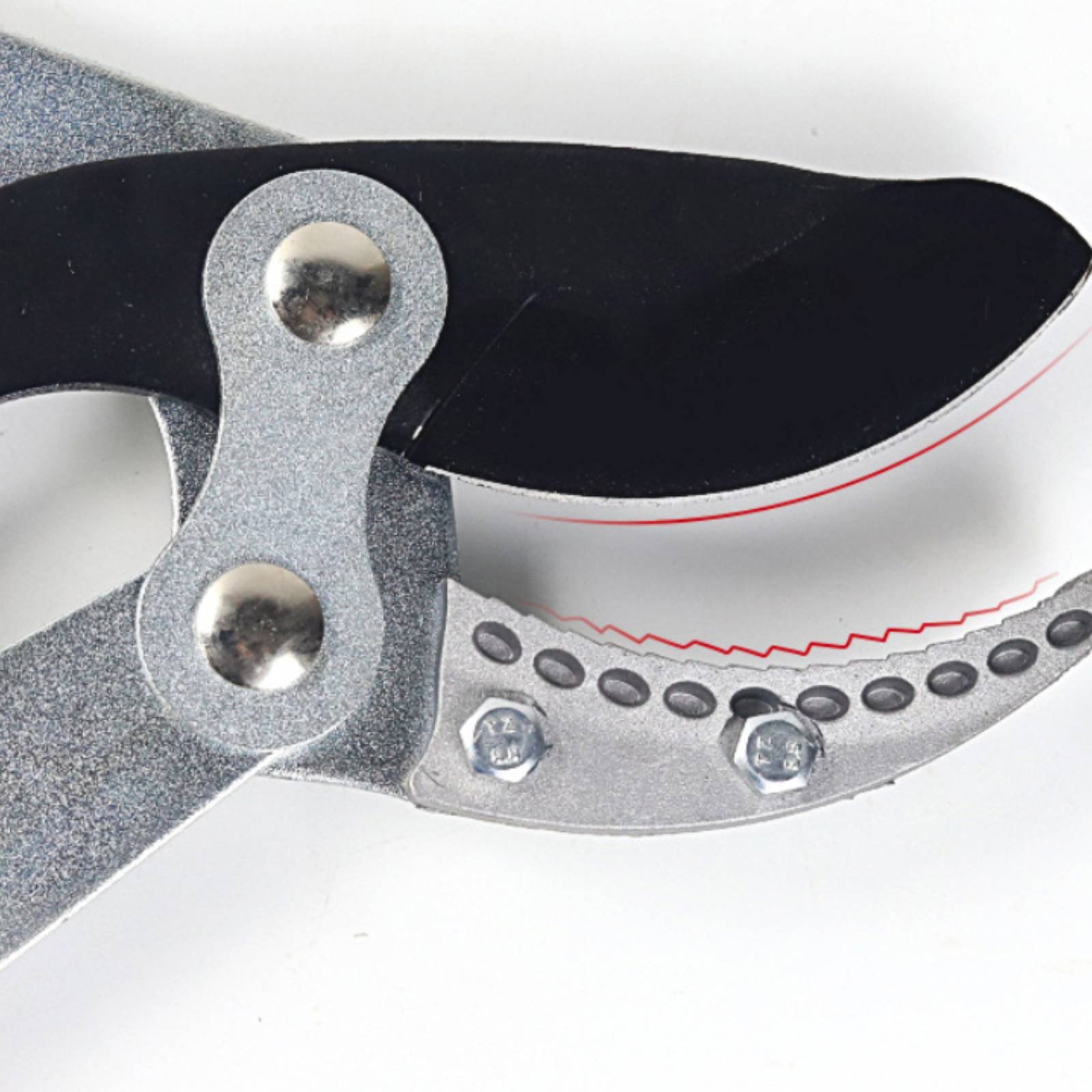 Forbici Telescopiche per Potat - Gardening Tools recensione e prezzo