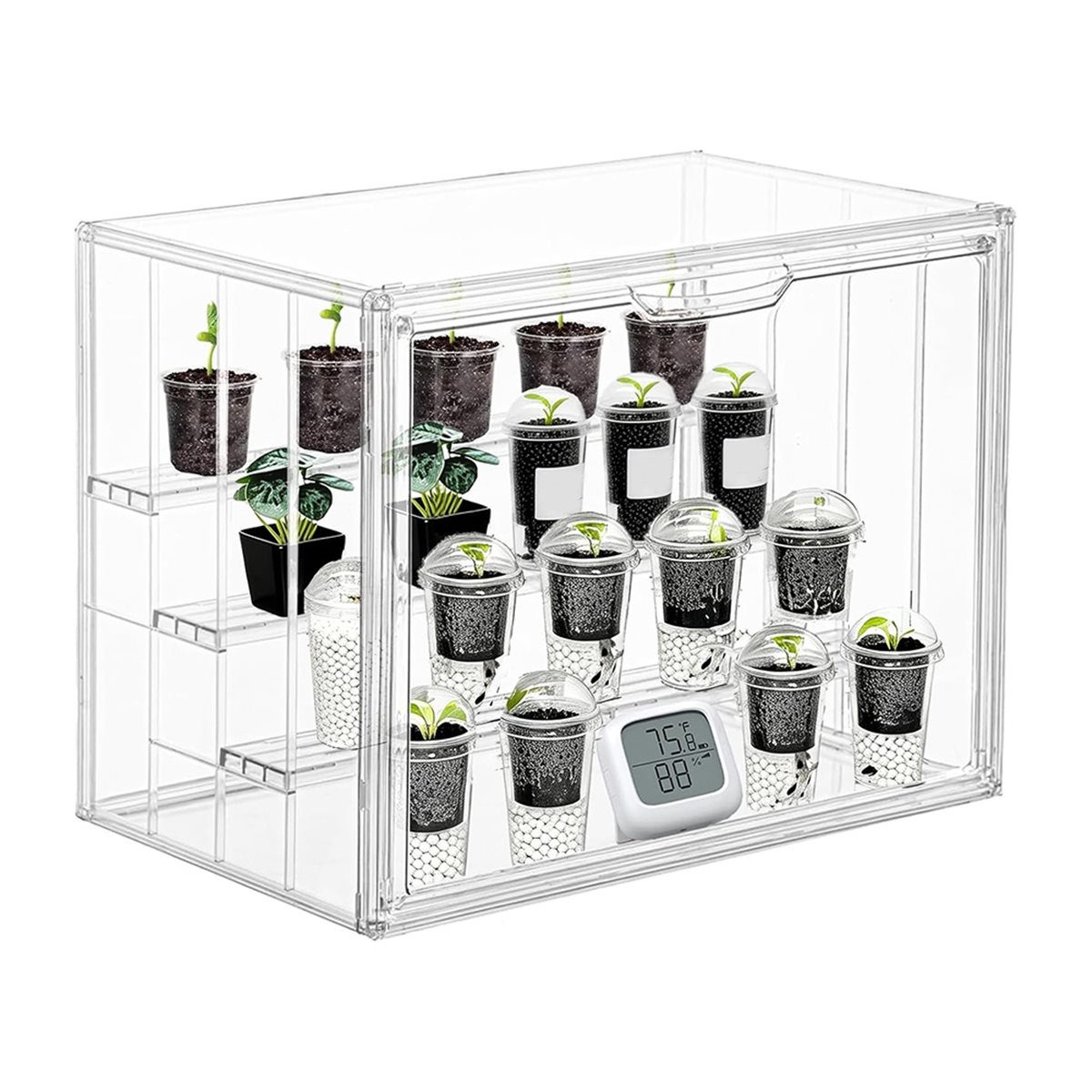 Mini serra industriale traspar - Greenhouse Mini Indoor recensione e prezzo