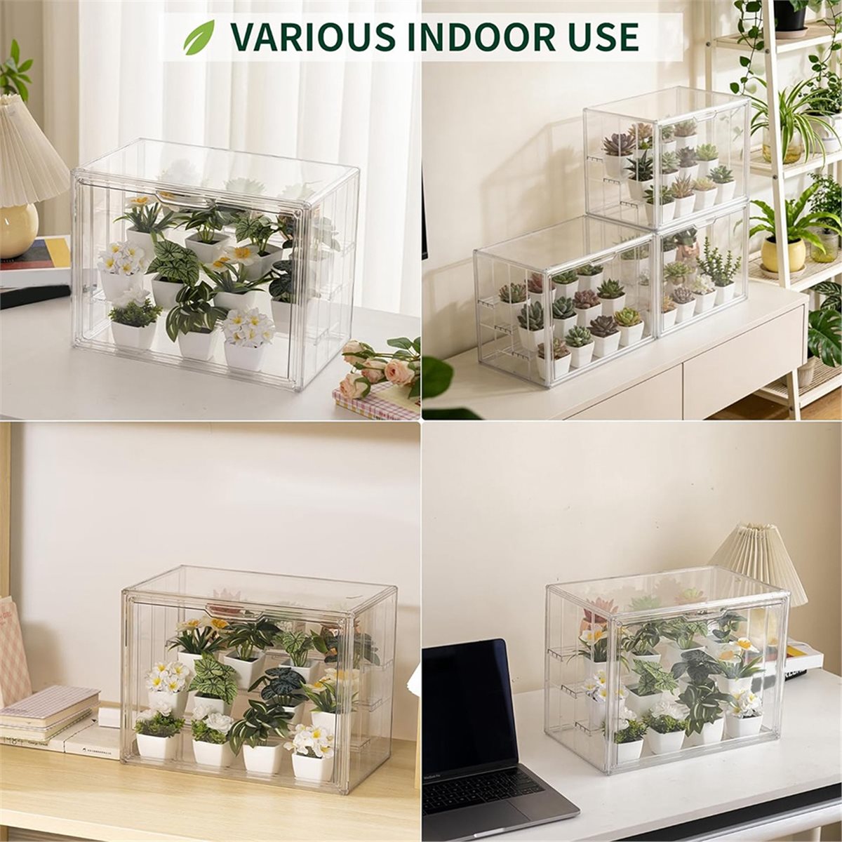 Mini serra industriale traspar - Greenhouse Mini Indoor recensione e prezzo