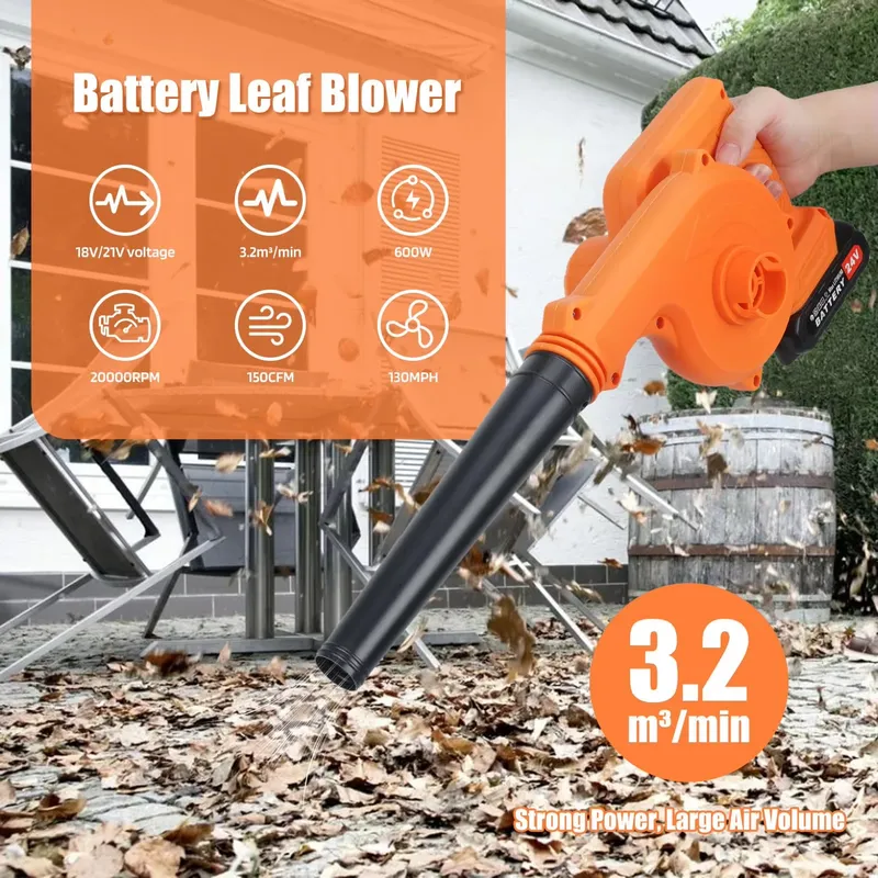 Soffiatore Aspiratore a Batter - Gardening Tools Lowes recensione e prezzo