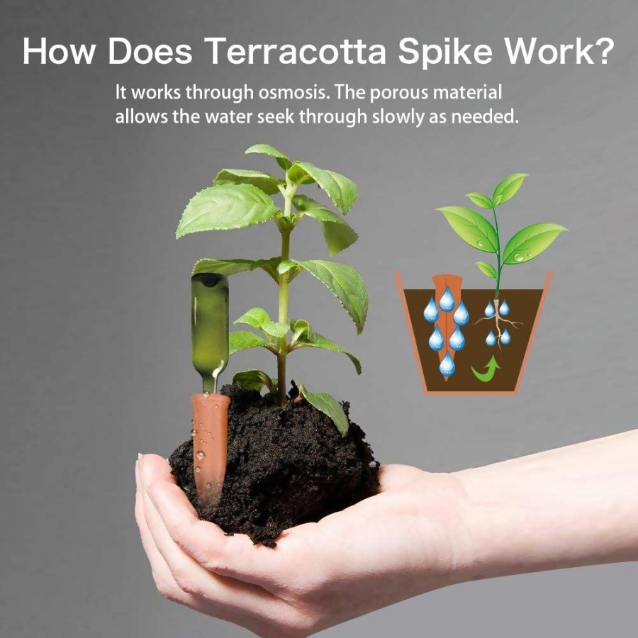 8 punte di terracotta con irri - Gardening Tools Kit For Home Garden recensione e prezzo