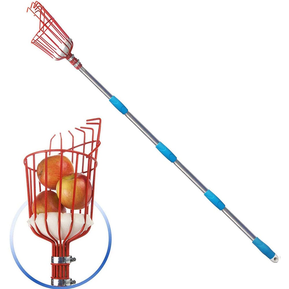 Raccoglitore di Frutta da 260  - Gardening Tools Rack recensione e prezzo